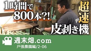 1時間で800本！？夏ネギ皮剥き便利マシーン｜戸張農園06