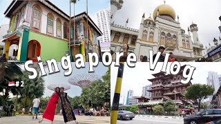 【Singapore vlog#2】🇸🇬シンガポール旅行/エスニックタウン巡り🕌/ガーデンズバイザベイ