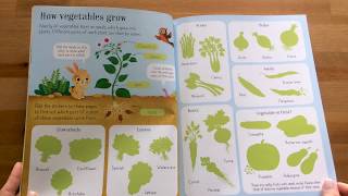 Fruit \u0026 Vegetables Frist Sticker Book - Usborne