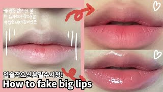 필러맞은듯한오버립방법💋✨ | 작은입,얇은입술 필수시청 | How to fake big lips | 립펜슬,립브러쉬 ❌ | WATCH윤와치