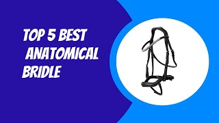 Top 5 Best Anatomical Bridle 2023