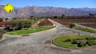 BODEGA EL ESTECO