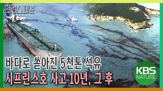 바다로 쏟아진 5천톤 석유! 시프린스호 사고 10년, 그 후 [환경스페셜-시프린스호 사고 10년, 지워지지 않은 흔적들] / KBS 20051019 방송