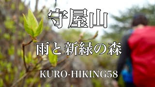 守屋山　雨と新緑の森【KURO-HIKING58】