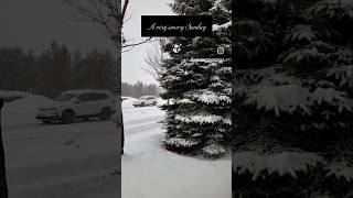 A Very Snowy Sunday in Super Slow-Motion