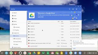 Unzip files on ChromeBook