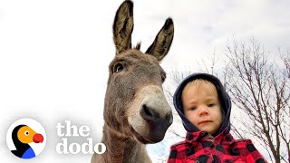 Donkey Can't Stop Following His New Human Brother Around | The Dodo Soulmates