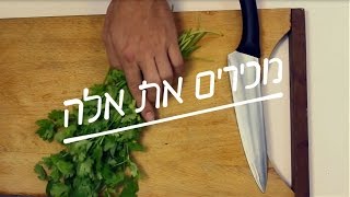 מכירים את אלה ש... | ממש שונאים כוסברה?