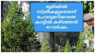 ഭൂമിയിൽ സ്ത്രീകൾ ഉണ്ടെന്ന് അറിയാത്ത അത്ഭുത മനുഷ്യൻ 40വർഷം കാട്ടിൽ ജീവിച്ചു ഒറ്റയ്ക്ക്. ടാർസൺ