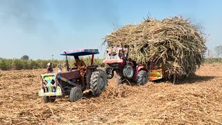 MF 260 Tractor Stunt | Tractor Failed & Sugarcane Load Trolley Stuck In The Mud With Help Massey 240