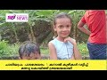 ചാലിയപ്രം പാടശേഖരം കനാൽ കുഴികൾ വറ്റിച്ച് മത്സ്യ കൊയ്ത്ത് ശ്രദ്ധേയമായി