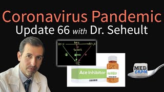 Coronavirus Pandemic Update 66: ACE-Inhibitors and ARBs - Hypertension Medications with COVID-19
