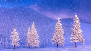Beautiful  Christmas Music, Peaceful Piano Christmas  Music  "Christmas Winter Woods"  by Tim Janis