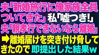 【スカッとする話】夫「新婚旅行に俺家族全員勝手についてきた」私「嘘つき！」夫「親孝行できないなら離婚だ」→離婚届を突き付け脅してきたので、即提出した結果ww【修羅場】