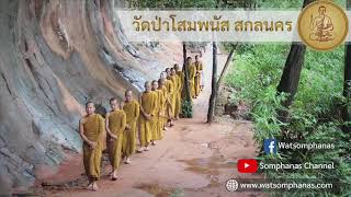 แชร์ประสบการณ์การปฏิบัติธรรม ของพระอาจารย์เต้ย