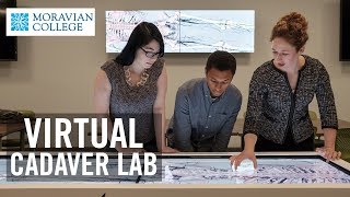 Lehigh Valley's First Virtual Cadaver Lab | Moravian College