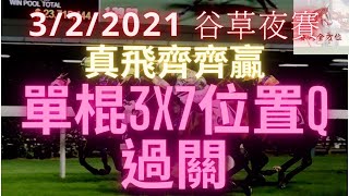 【賽馬心水】3/2 谷草夜賽純分享！真飛3X7單棍位置Q過關