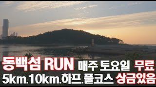 동백섬 매주 토요일 무료 대회주(5km, 10km, 21km, 42km) 상금도 있습니다