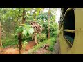 shoranur nilambur full journey with alco through beautiful teak forest indian railways