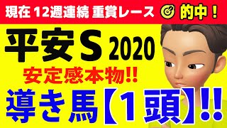 平安ステークス2020 居並ぶ強敵を超えてゆけ!!導き馬【1頭】!!