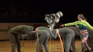 DOGLIVE Gala --- Trailer --- JAN 2024