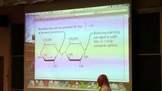 #24 Biochemistry Lecture (Carbohydrate Structure) from Kevin Ahern's BB 350