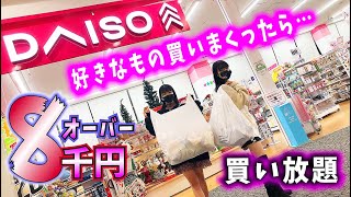 DAISO（ダイソー）8000円オーバー？史上最高額の姉妹で欲しいもの買いまくってみた！【のえのん】