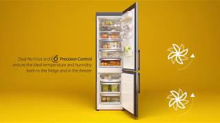 Whirlpool W9 Dual NoFrost fridge/freezer