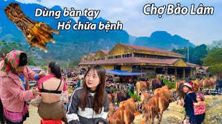 Chợ Bảo Lâm nơi thâm sơn cùng cốc bắt gặp cả chân hổ to khủng bán ngoài chợ