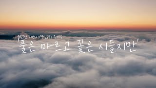 [Newsong] 2025년 새노래명성교회 주제곡 『풀은 마르고 꽃은 시들지만』 Lyric Video