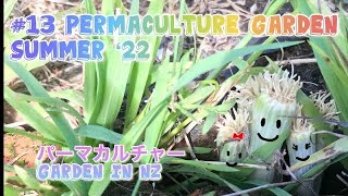 #13 NZ Permaculture Summer garden ‘22 Harvest / Seeds / パーマカルチャーの庭‘22 夏　収穫／種取り　ニュージーランド