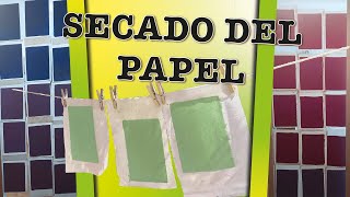 Como SECAR el papel RECICLADO en CASA | Papel en coma