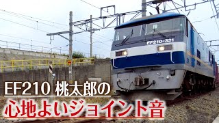 JR貨物 ジョイント音が心地よい 3050レ牽引EF210-331桃太郎（2022/06/16）