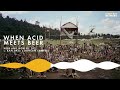 ram dass when acid meets beer here and now ep. 202