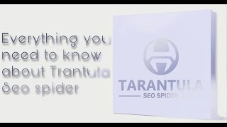 Unleash Your Website's Potential with Trantula SEO Spider: A Comprehensive Overview