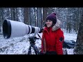 dark and magical christmas in northern sweden big snow storm squirrel forest crafts