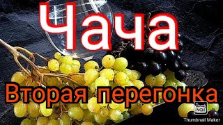 Вторая перегонка чачи, / как гнать самогон, / чача, / винокурение, / самогон из винограда изабелла