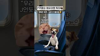 P커플이 해외여행 갈 때 특ㅋㅋ