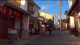 奈良散歩/Nara walk【4K HDR】