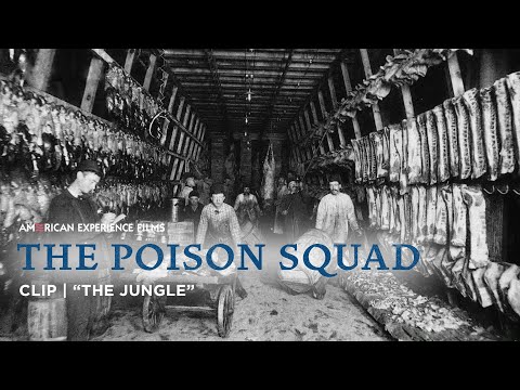 How did Upton Sinclair affect progressive reform?