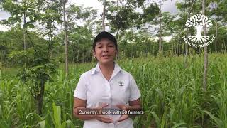 Hopes for reforestation in Nicaragua