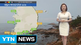 [내일의 바다낚시지수] 6월 29일 장마정선 북상 전 해상 해무로 선박 이용시 주의 바람  / YTN