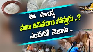 Free Milk and Curd at Kurnool district's Ganjanahalli | Interesting facts \u0026 Gomatha Story