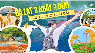 Du Lịch Đà Lạt 3 Ngày 2 Đêm – Chơi Gì, Ăn Gì, Ở Đâu? | Gia Đình MYSAN