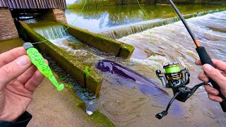 IL était juste sous mes pieds...(poisson énorme)