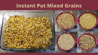 Cooking Whole Grains in the Instant Pot