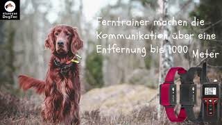 Hunde Erziehungshalsband Ferntrainer wozu?