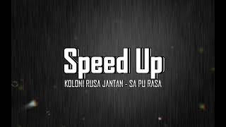 ( Speed Up ) KOLONI RUSA JANTAN - SA PU RASA