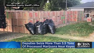 Deputies Seize Tons Of Packed And Ready To Be Shipped Pot From Illegal Operation Near Keyes