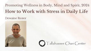 How to Work with Stress in Daily Life by Dewaine Rester